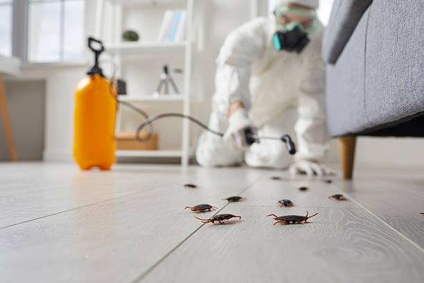 Trusted Fumigation Services service in Penndel, PA - Nex Pest Control